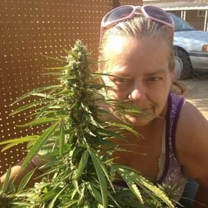 Meet your Posher, Edye